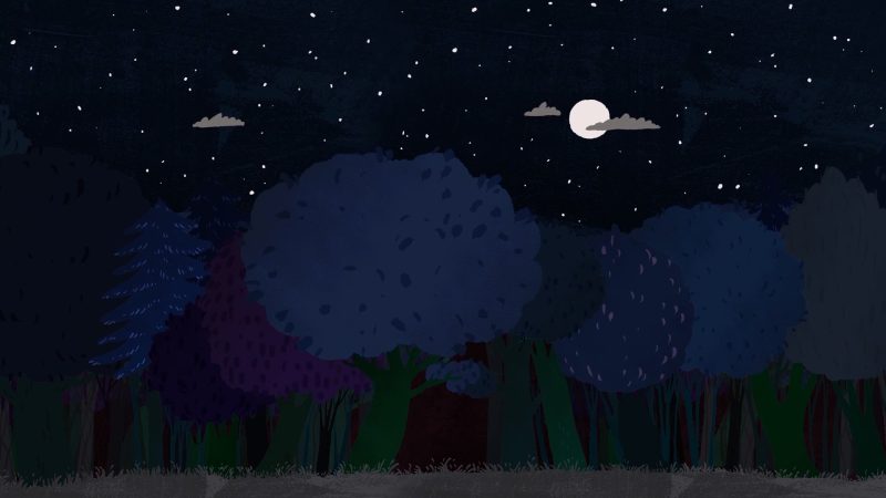 La chouette qui voulait dormir 1